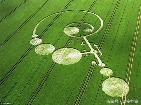 Crops circles, cercles culture Oip_110