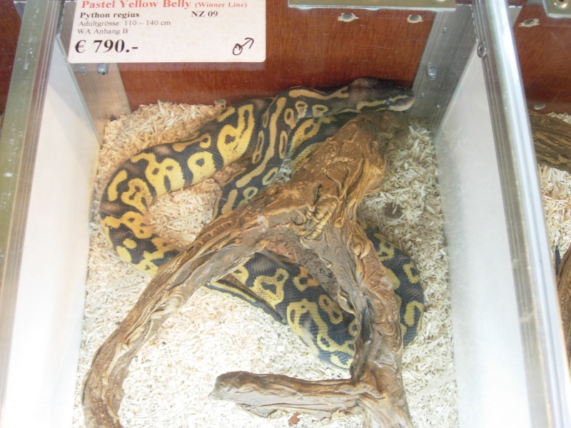 Photos de la Bourse aux Reptiles d'Illkirch 2009 ! Illkir30