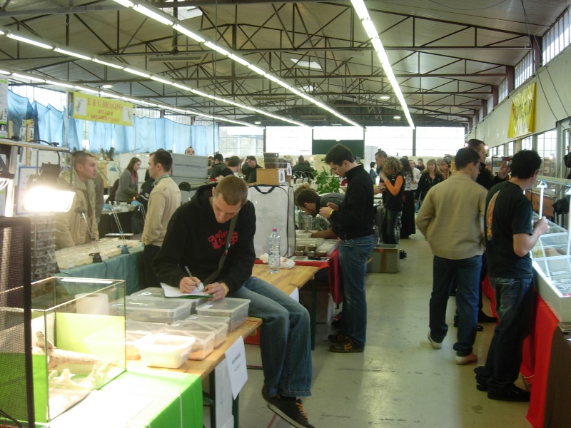 Photos de la Bourse aux Reptiles d'Illkirch 2009 ! Illkir36