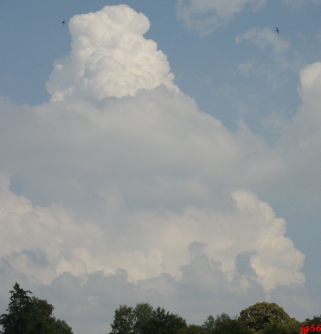 Mes photos des cumulonimbus du 1er juillet 2009 _mgp1412
