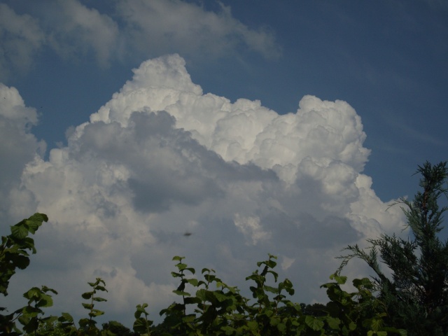 Mes photos des cumulonimbus du 1er juillet 2009 _mgp1417