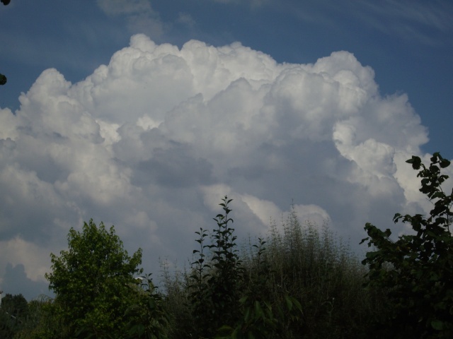 Mes photos des cumulonimbus du 1er juillet 2009 _mgp1511