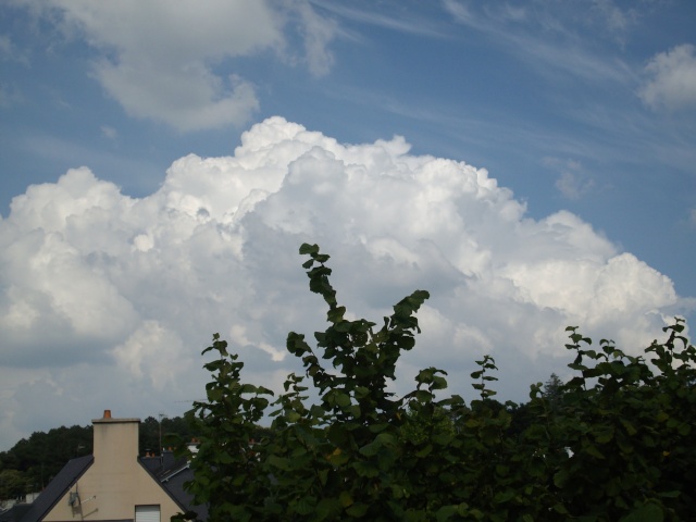 Mes photos des cumulonimbus du 1er juillet 2009 _mgp1512
