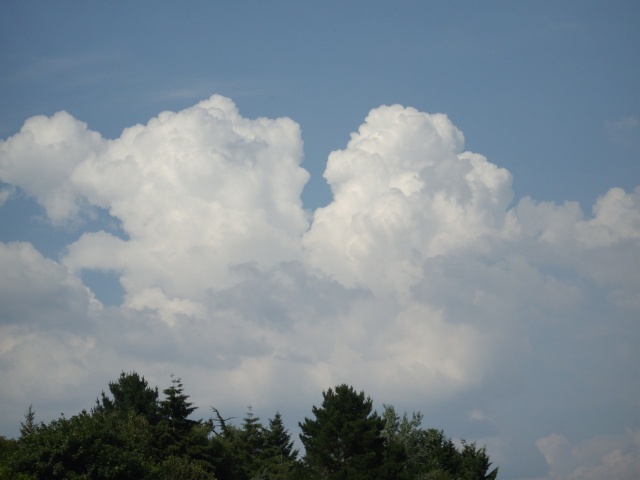Mes photos des cumulonimbus du 1er juillet 2009 _mgp1513