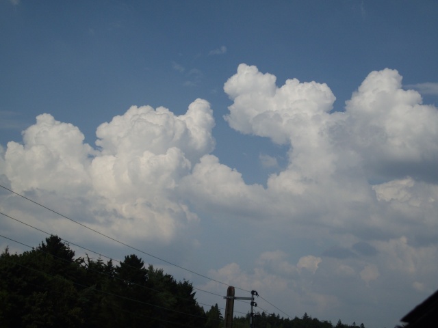 Mes photos des cumulonimbus du 1er juillet 2009 _mgp1514