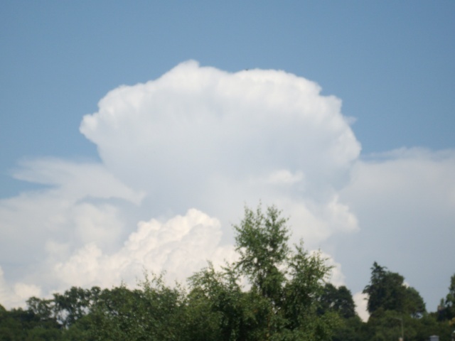 Mes photos des cumulonimbus du 1er juillet 2009 _mgp1531