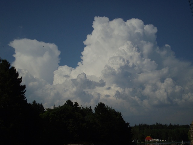 Mes photos des cumulonimbus du 1er juillet 2009 _mgp1536
