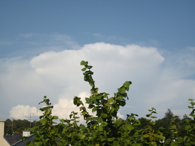 Mes photos des cumulonimbus du 1er juillet 2009 Imgp1514