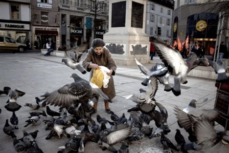 Expulsable pour avoir trop nourri les pigeons. 3af38b11