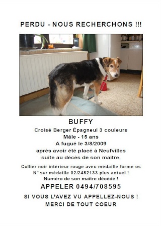(Belgique)la Spa de La Louvière a euthanasié Buffy Affich11