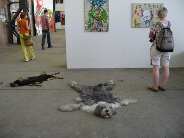 100 chiens par semaine sont assassinés au nom de l'art Img_2610