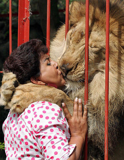 Un lion embrasse une femme!! Lion10