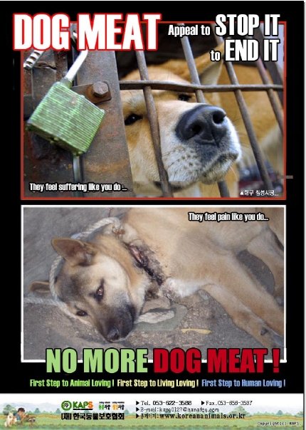 1 Million de signatures : Arrêtez de tuer des chiens Corée.. N7246010