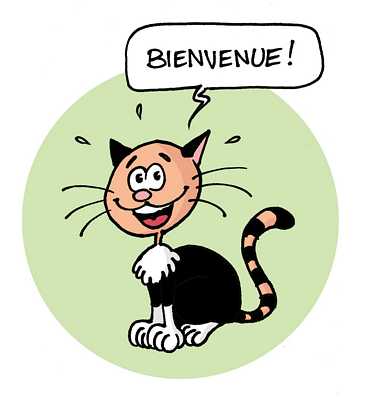 bonjour Chat_b10