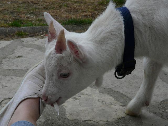 Petit tour dans le jardin 10_mar90