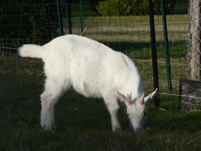 Vive le soleil 16_mar22