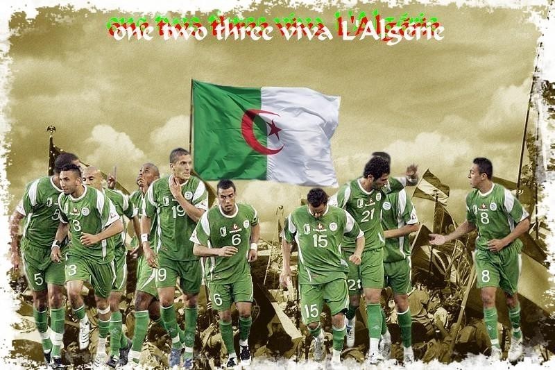 la fievre du 14 novembre (Egypte-Algerie) Algeri12