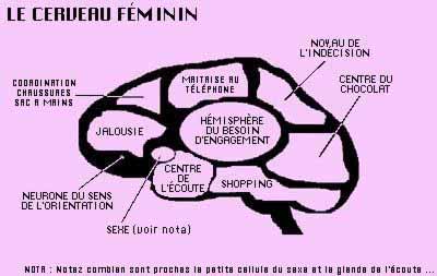 Cerveau femme VS cerveau homme Cf10