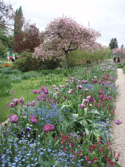 Giverny le 10 mai 2013 Arbre_10