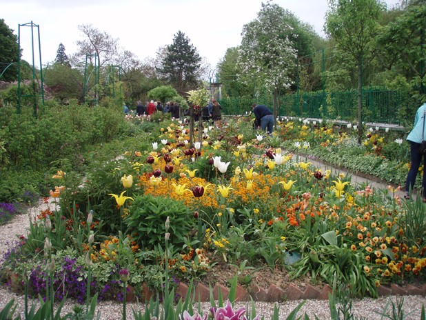 Giverny le 10 mai 2013 Jaune_10