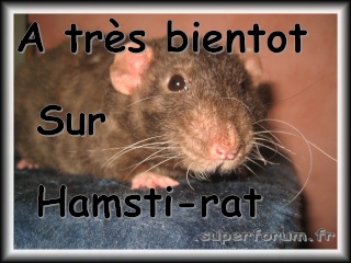 Hamsti-rats Img_2517