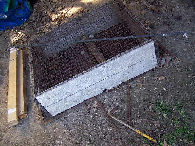 Encore une cage de 1ère catégorie pas chère (valise) - Page 2 101_2425