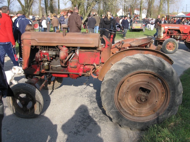 Foire agricole dans le Pas De Calais Photo143