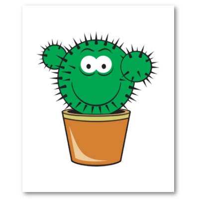 Bon anniversaire Christophe Cactus10