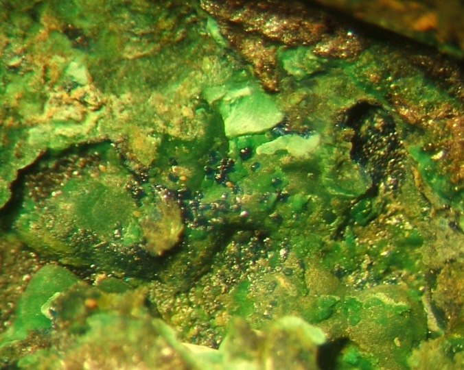 La cristalisation sur le monnayage Dscf5111