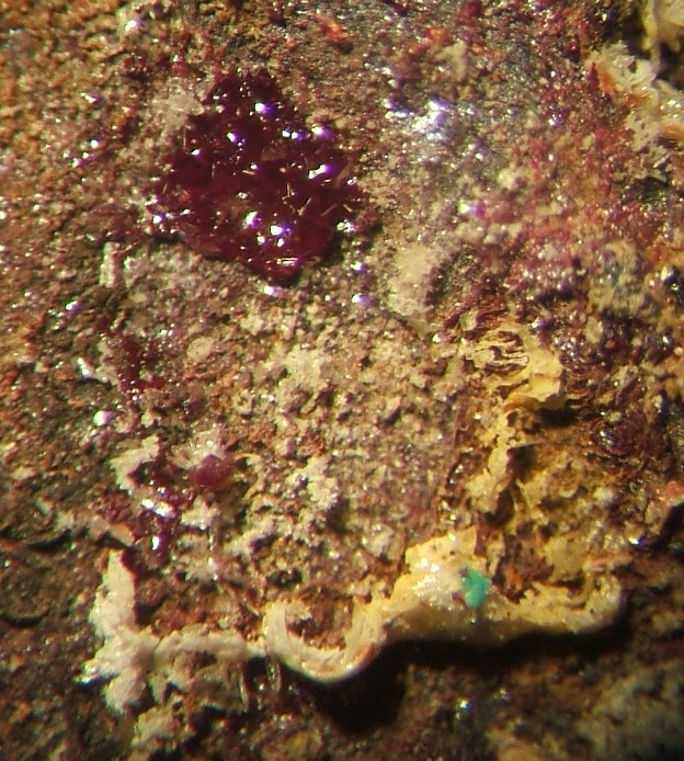 La cristalisation sur le monnayage Dscf5116