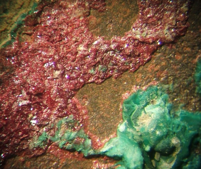 La cristalisation sur le monnayage Dscf5118