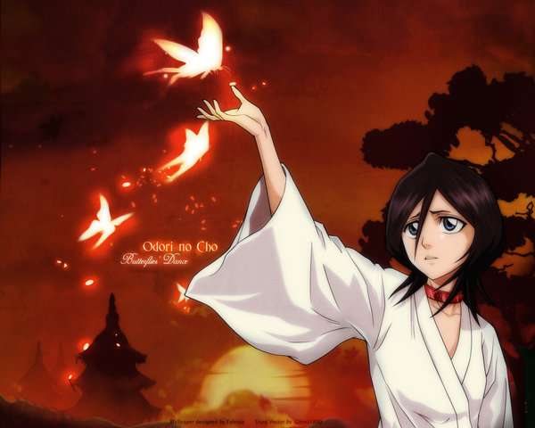 Les images Bleach /!\ possibilité de déformation de la page, ainsi qu'un certain lag lors du chargement/!\ Rukia_11