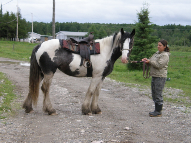 tamara en ballade Fanons10