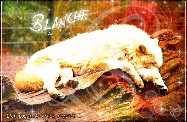 Story of Chad's wolves Blanch10