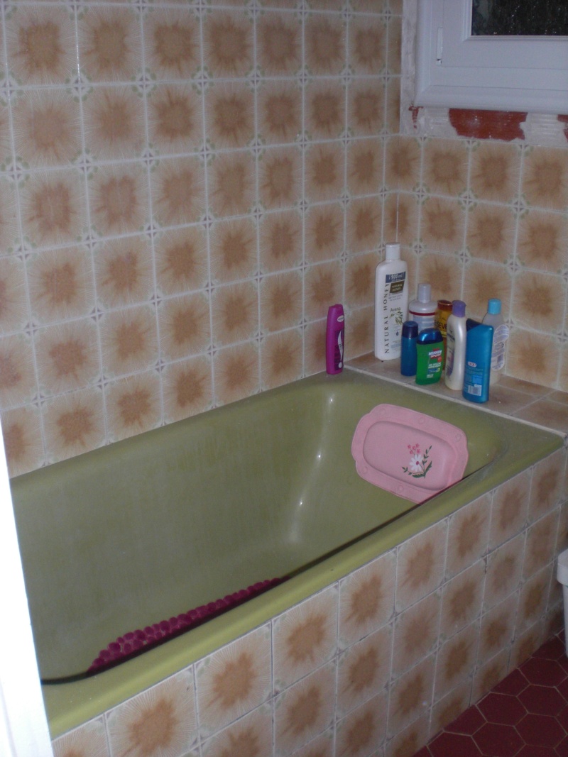 Votre avis pour ma salle de bains? Cimg0711