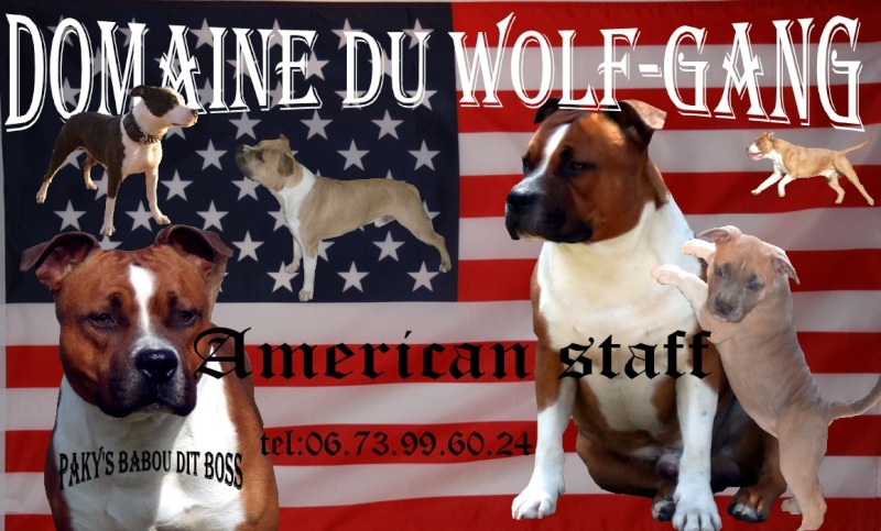 forum du Domaine du Wolf-gang