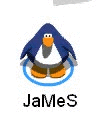 The New Penguin Chat Snowba10
