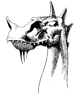 Vous avez dit: Dragon? Dragon10