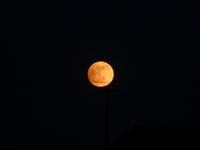 lune avec mon Fz 38 P1120611