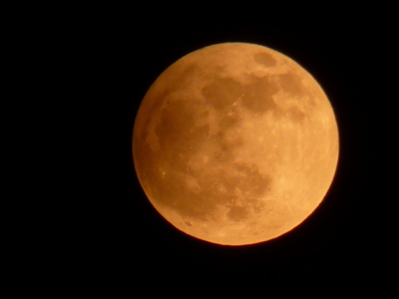 lune avec mon Fz 38 P1120613