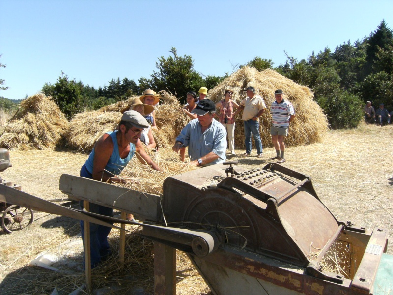 GLUIRAS - 07 - GLUIRAS : MOISSONS à l'ancienne en Ardèche (été 2009) Marjan52