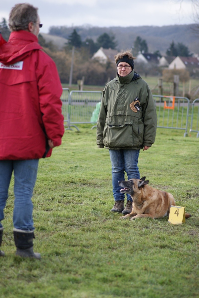 CONCOURS OBEISSANCE  FRENEUSE le 17 Mars 2013 Dsc06410