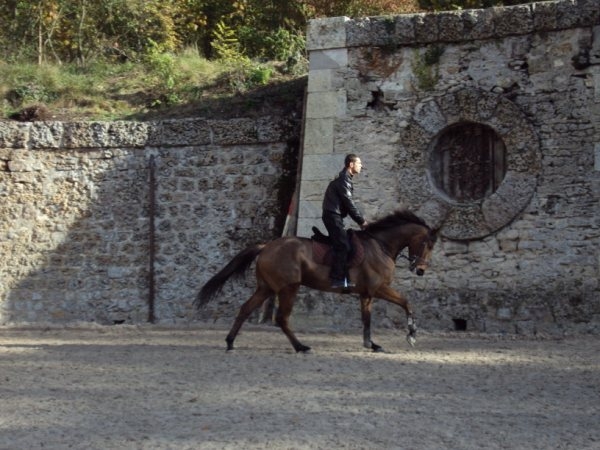 RAMEAU D'OUDAIRIES SF 4 ANS VENDU Dsc00710