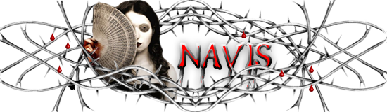 Bannières et avatars pour les "Decorants" Navisb12