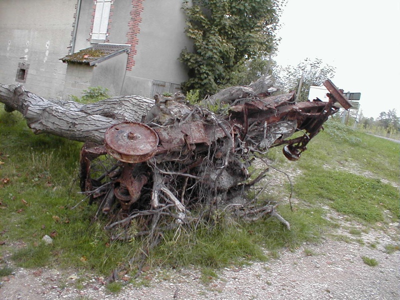 voiture sous un arbre Citroe12