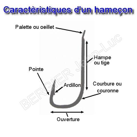 monte hamecon gizmo prix