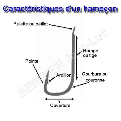 Les hameçons et bas de ligne pour la pêche au coup