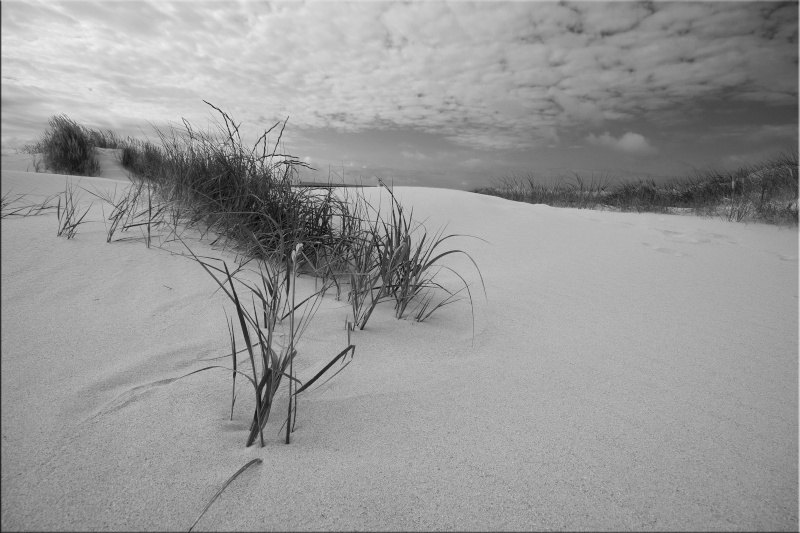 Dunes. Img_1810