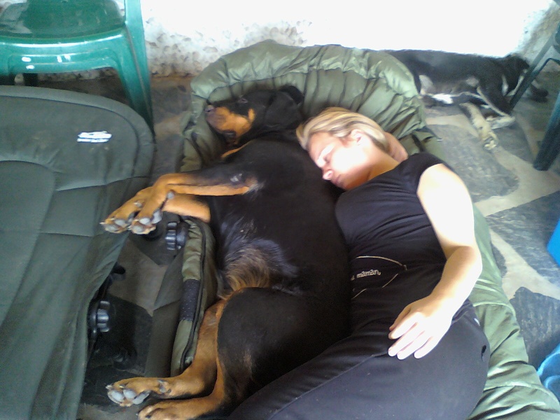 Roxane jolie femelle rottweiler - Page 7 09070510