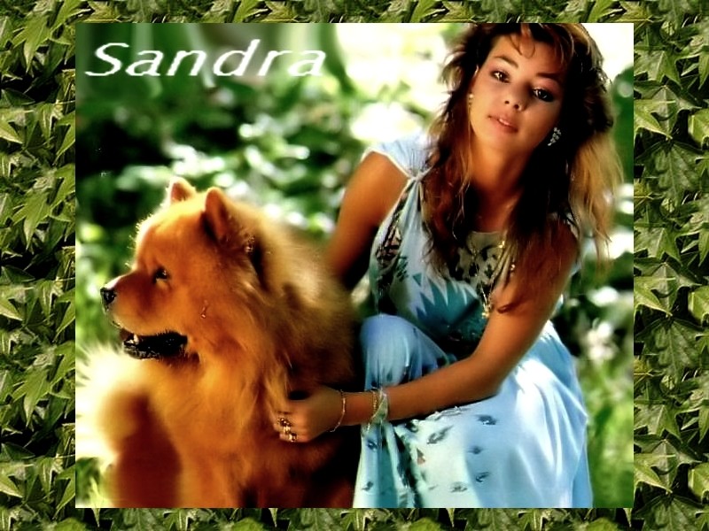 Sandra-Instrumental edit 9878_f10